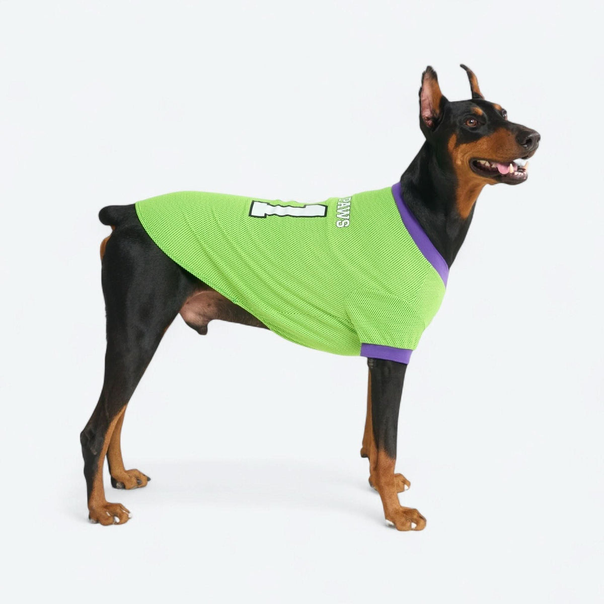 Football Mesh Jersey - Lime Green – SPARK PAWS