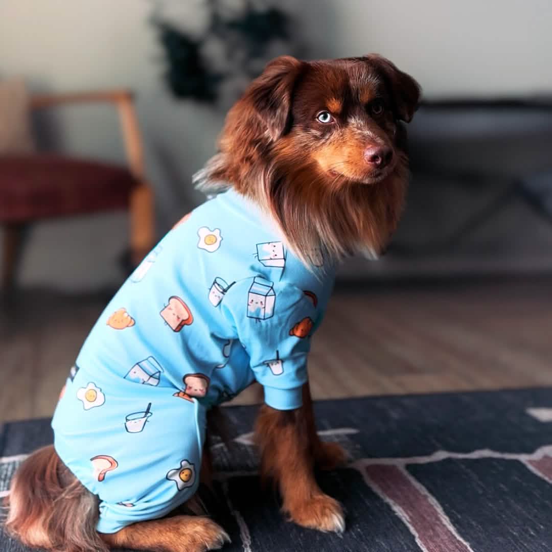Dog Pajama Prints – SPARK PAWS