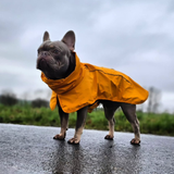 Dog Raincoat - Yellow||size:S,M,L,XL,2XL,3XL,4XL