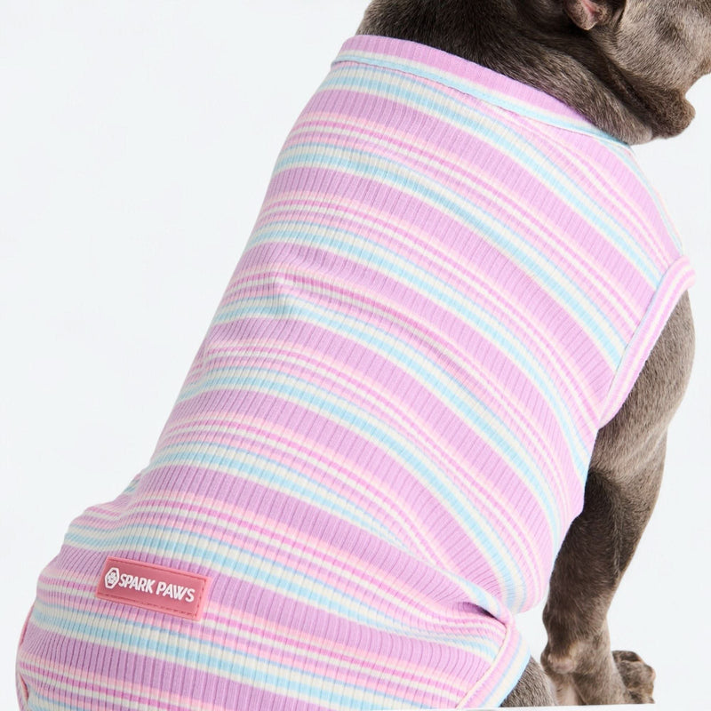 Purple Blue Stripe Shirt