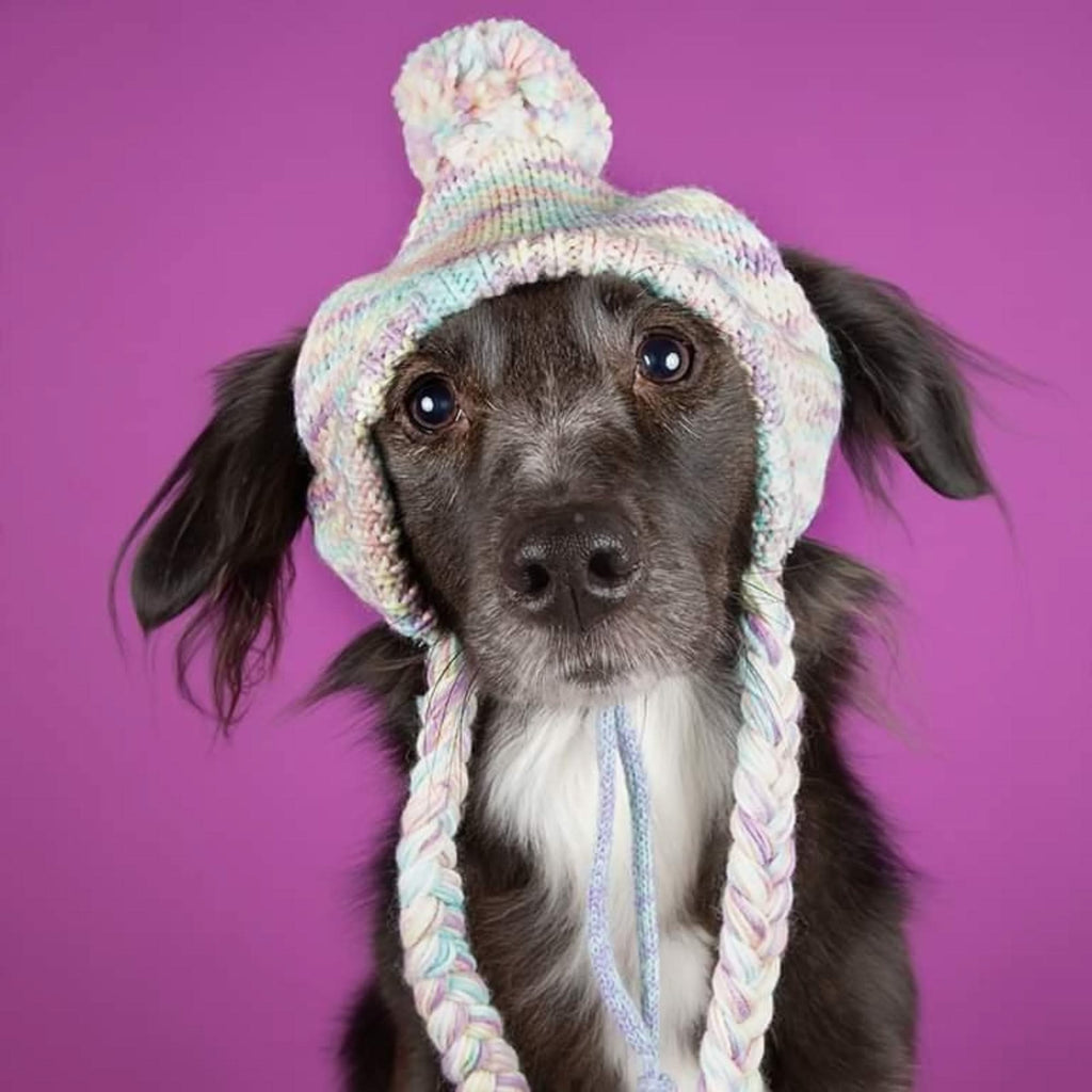 Pineapple Dog Sun Hat with Green Pom Poms — Collar Me Crazee