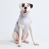 Sunblock Dog T-Shirt - Grey
