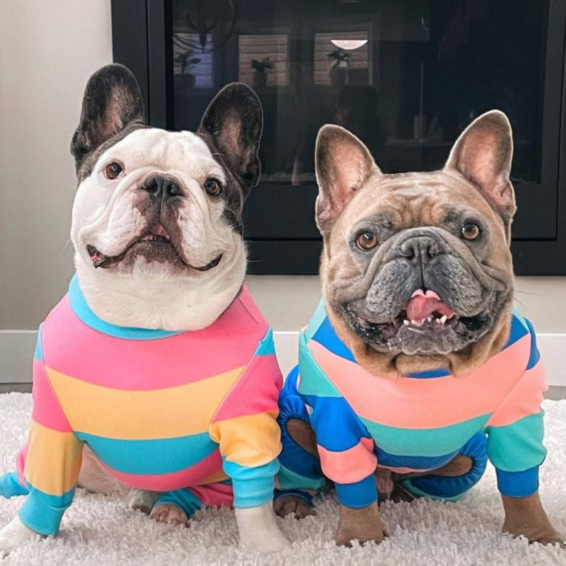 Dog Pajama - Yellow Blue Pink