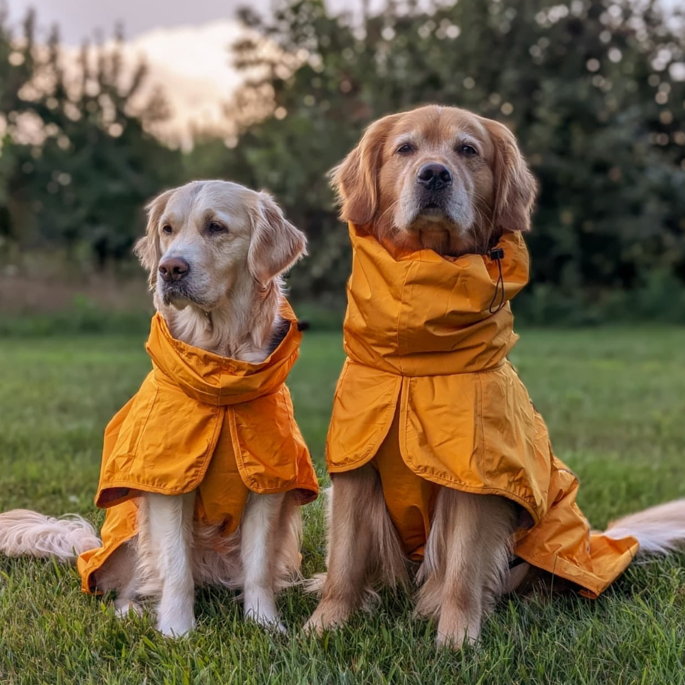 Breatheshield™ Dog Raincoat (Multi-Color) – SPARK PAWS