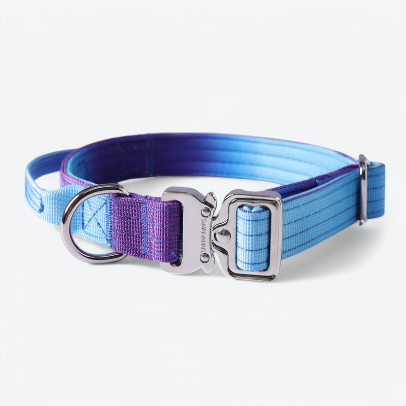 Comfort Control Collar - 90s Retro