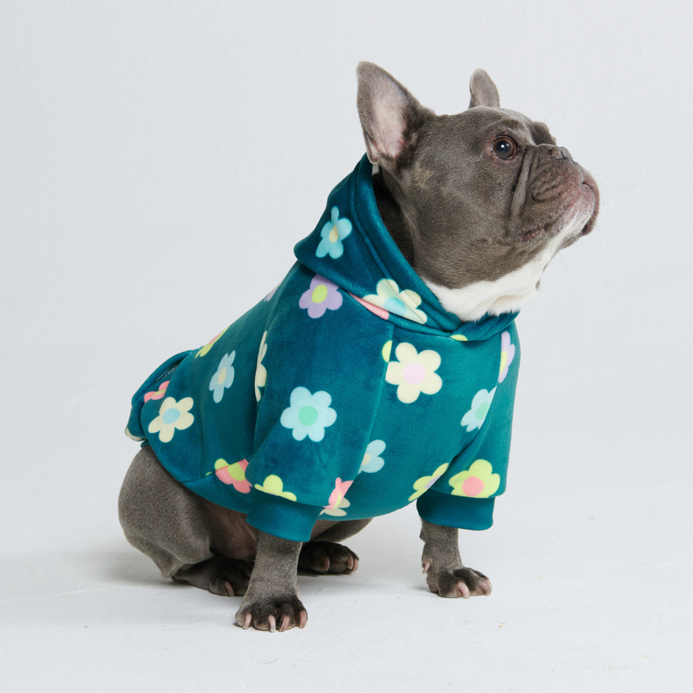 Daisy Dog Hoodie - Green – SPARK PAWS