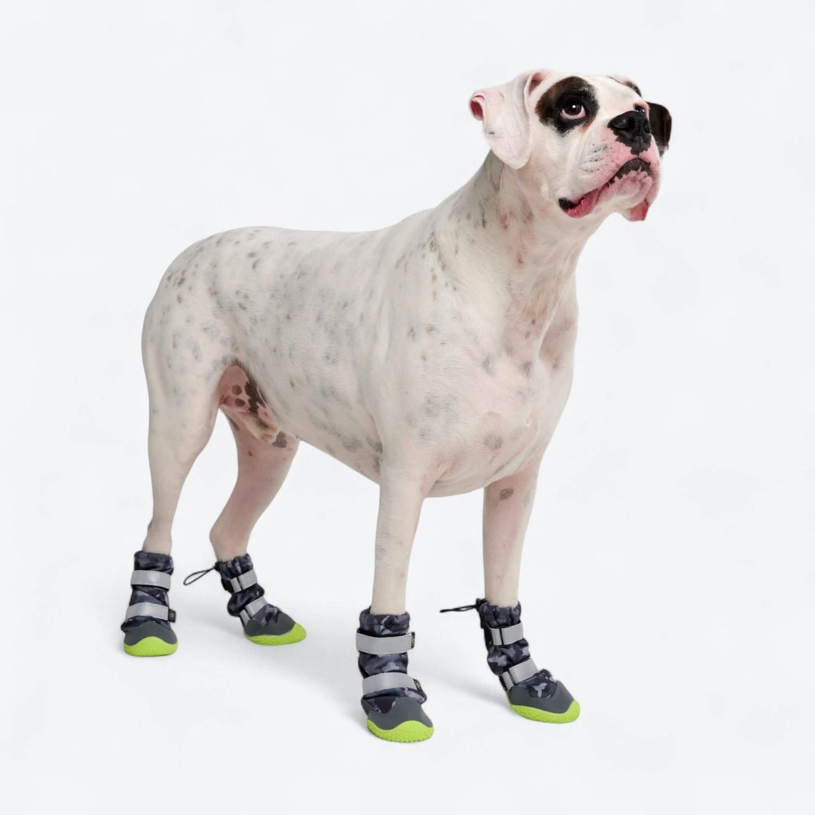 Flex Shell Waterproof Dog Boots – SPARK PAWS - Main Image