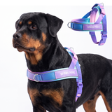 90s Retro Grab and Go||size:6