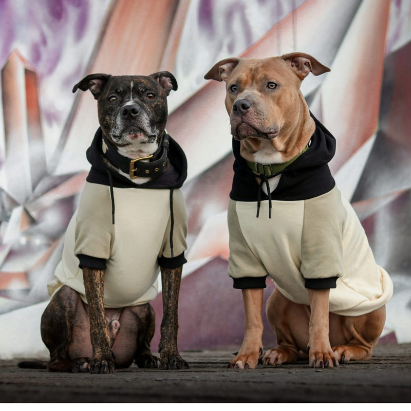 Dog hoodies sales for pitbulls