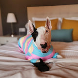 Dog Pajama - Yellow Blue Pink