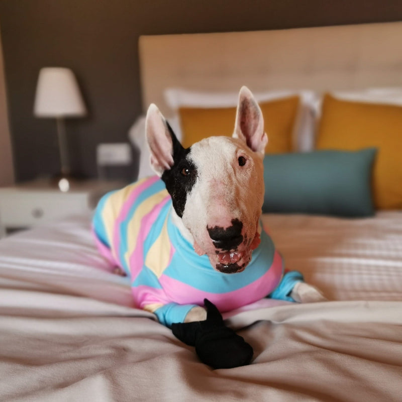 Dog Pajama - Yellow Blue Pink