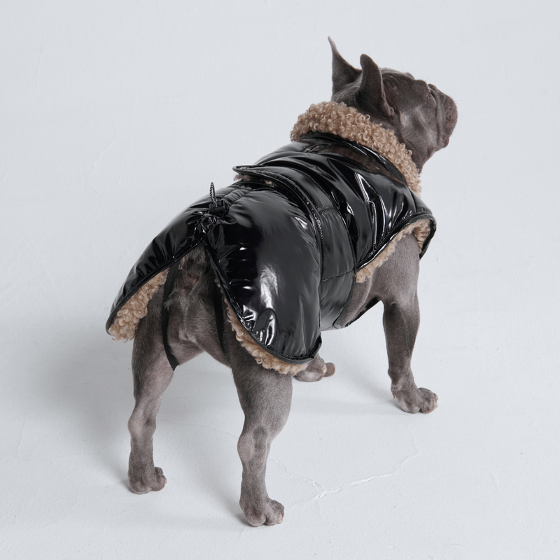 Slip-on Winter Dog Jacket Black – SPARK PAWS - Main Image