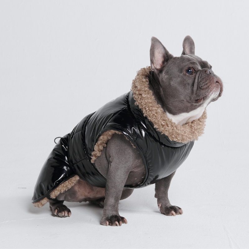 Slip-on Winter Dog Jacket Black – SPARK PAWS - Main Image
