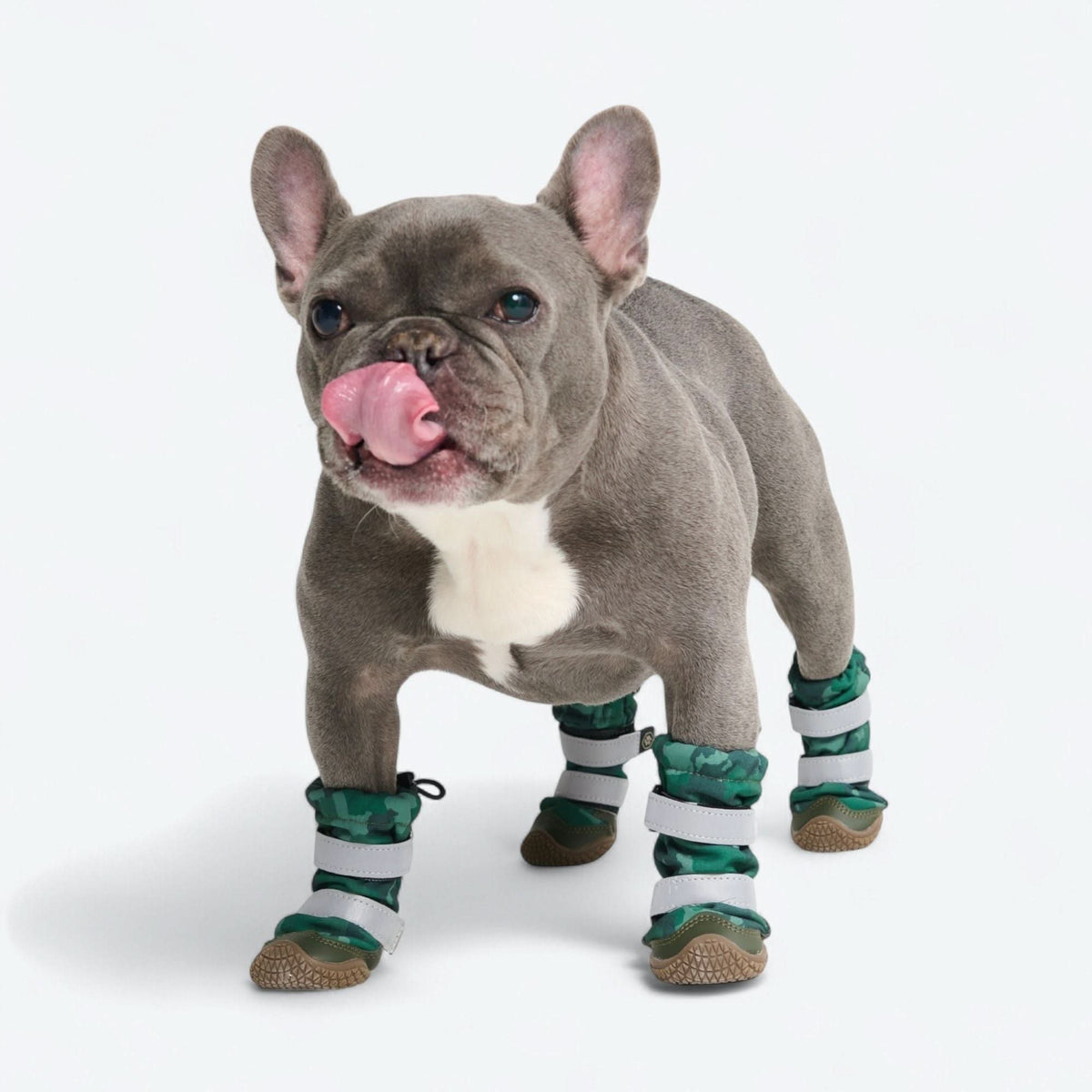 Dog Rainboots, Waterproof Dog Shoes - Green Camo – SPARK PAWS