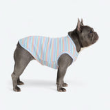 Blue Coral Stripe Shirt