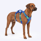 Lime Wave Escape Proof||size:4