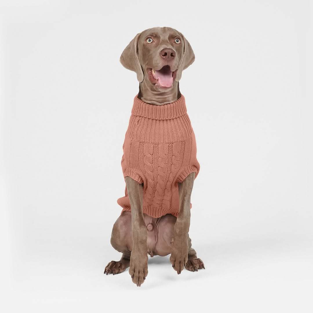 Cable Knit Dog Sweater Brown SPARK PAWS
