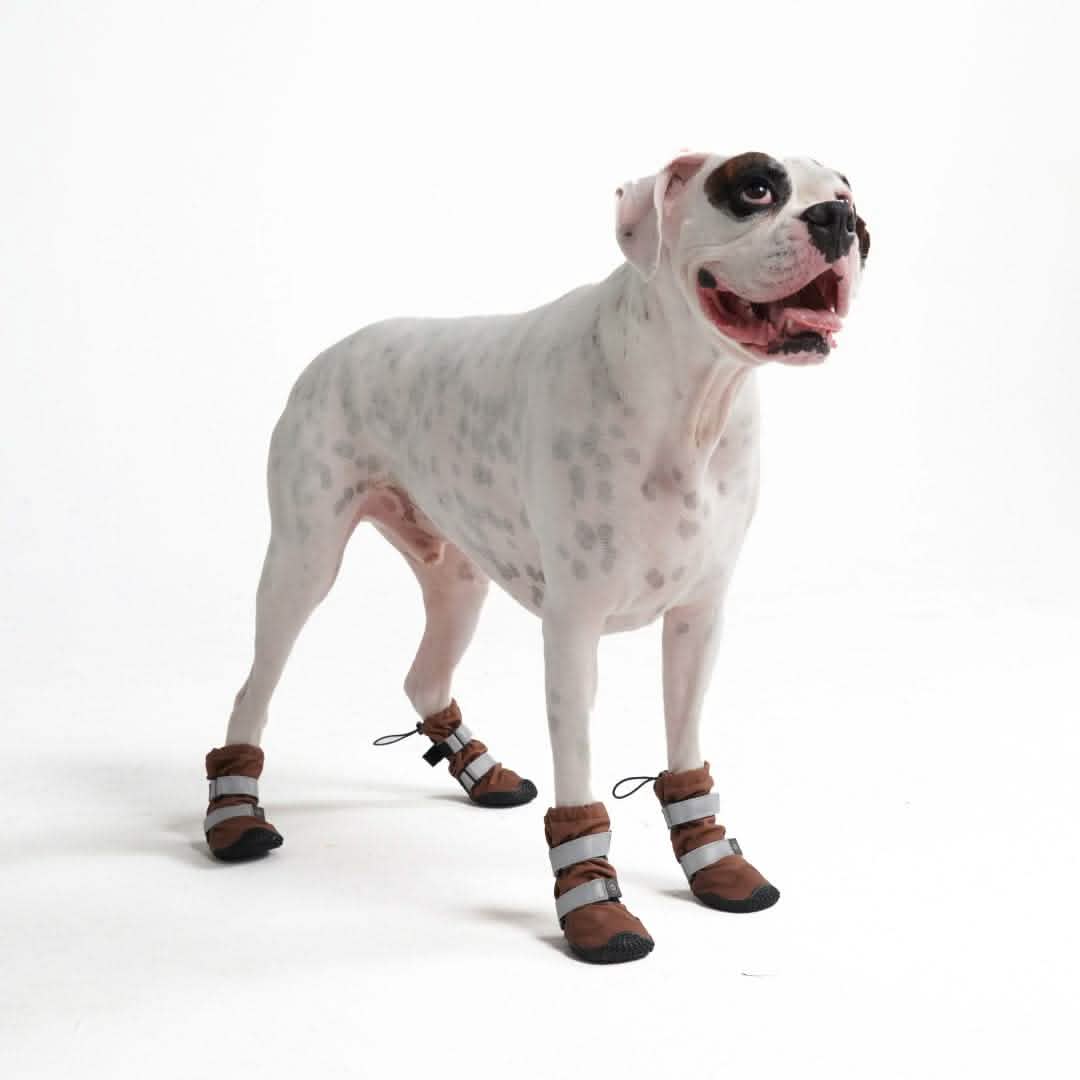 walkies dog boots