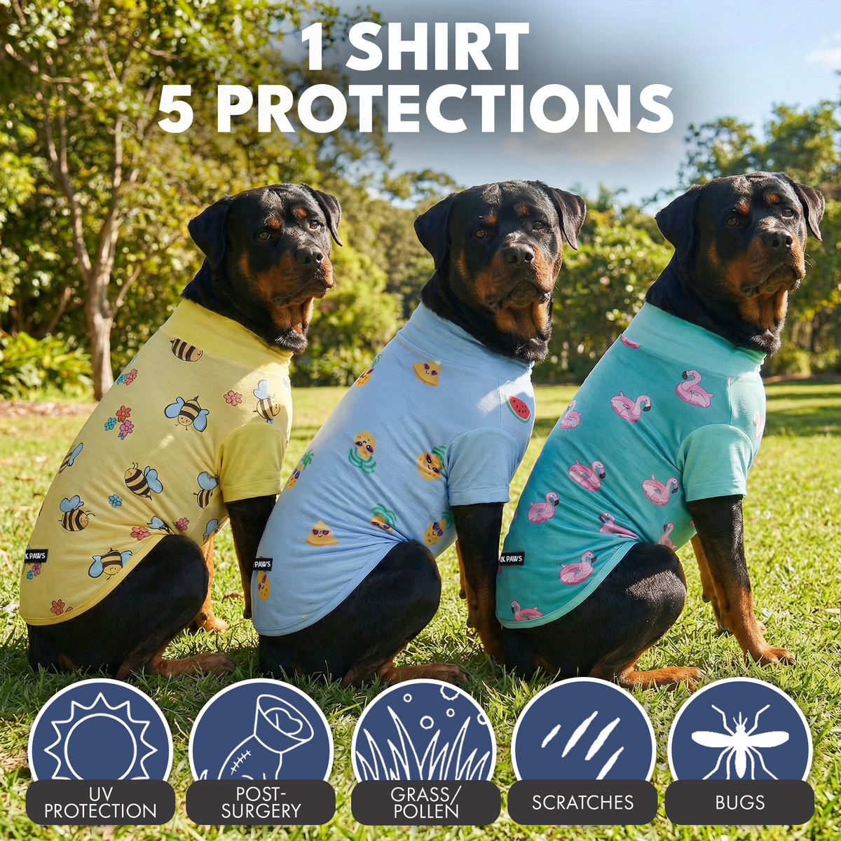 Sunblock T-Shirt 3 Pack – SPARK PAWS