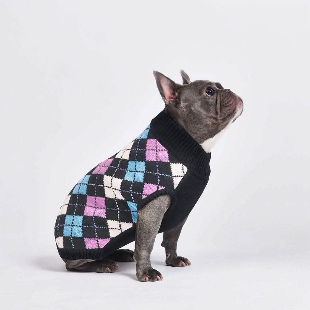Black Argyle Knit Dog Sweater SPARK PAWS