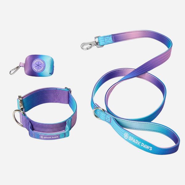 Comfort Control Dog Collar Sets – SPARK PAWS