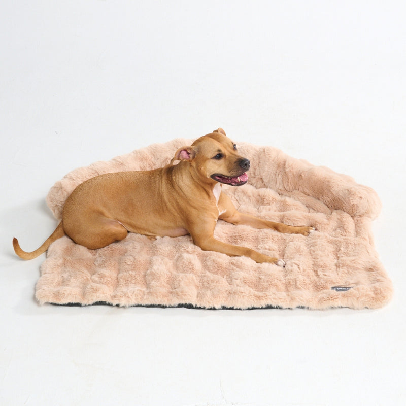 Calming Fluffy Couch Cover Dog Bed - Beige