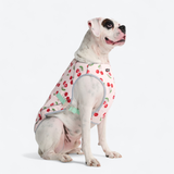 Cherries Cooling Vest||size:3XL