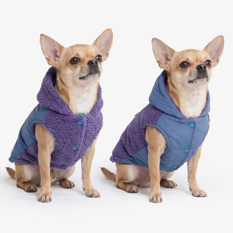 Reversible Dog Jacket - Purple and Blue – SPARK PAWS