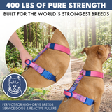 Comfort Control No-Pull Dog Harness - Snow Cone