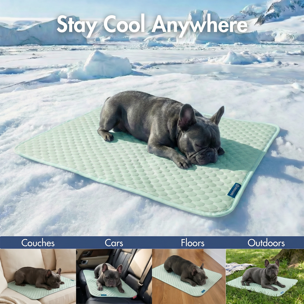 Frostcore™ Cooling Couch Cover Dog Bed and Cooling Mat Set - Orb