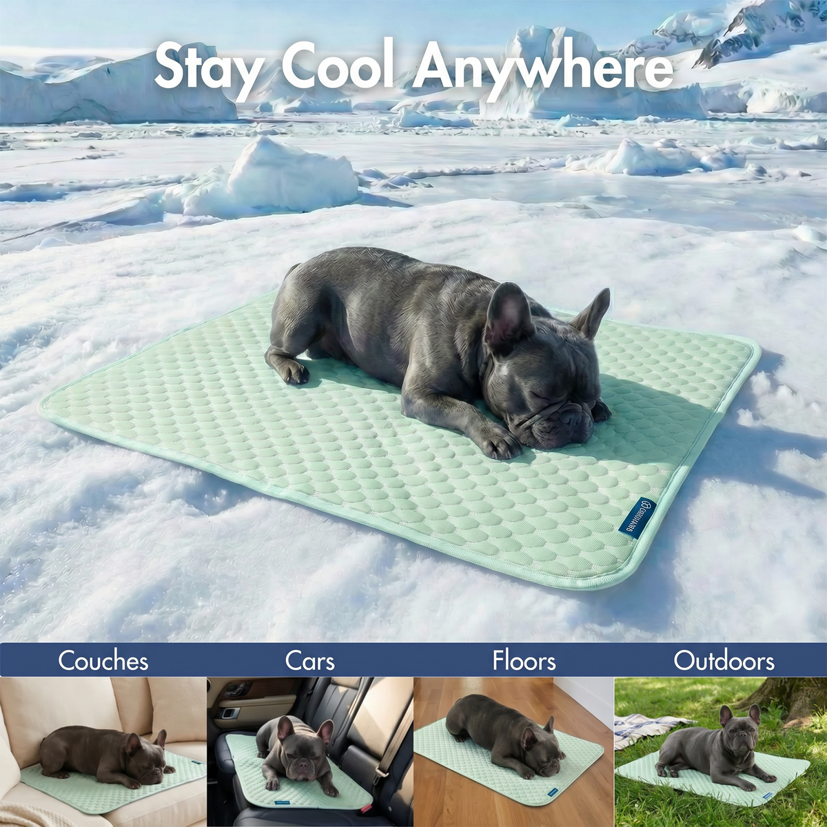 Frostcore™ Cooling Mat - Orb Green – SPARK PAWS