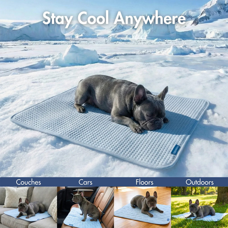 Frostcore™ Cooling Mat (2-pack) - Waffle Blue – SPARK PAWS