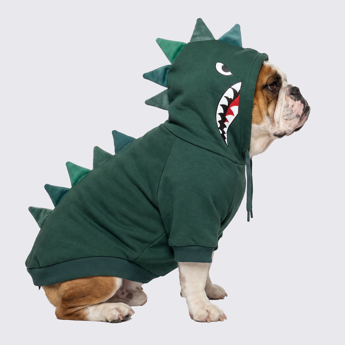 Halloween Dog & Human Matching Hoodie Set – Dinosaur – SPARK PAWS