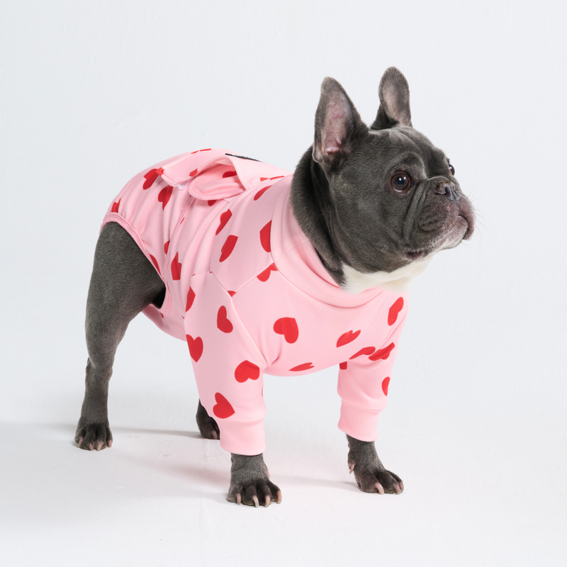 Dog Surgical Suit 2-pack – SPARK PAWS