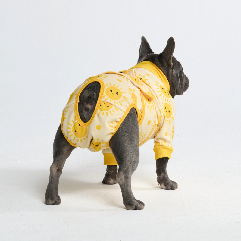Dog Surgical Suit 2-pack – SPARK PAWS
