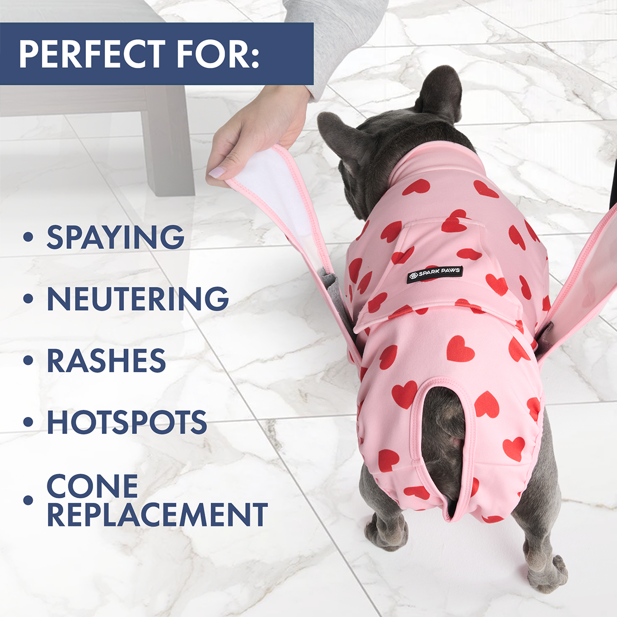 Dog Surgical Suit 2-pack – SPARK PAWS