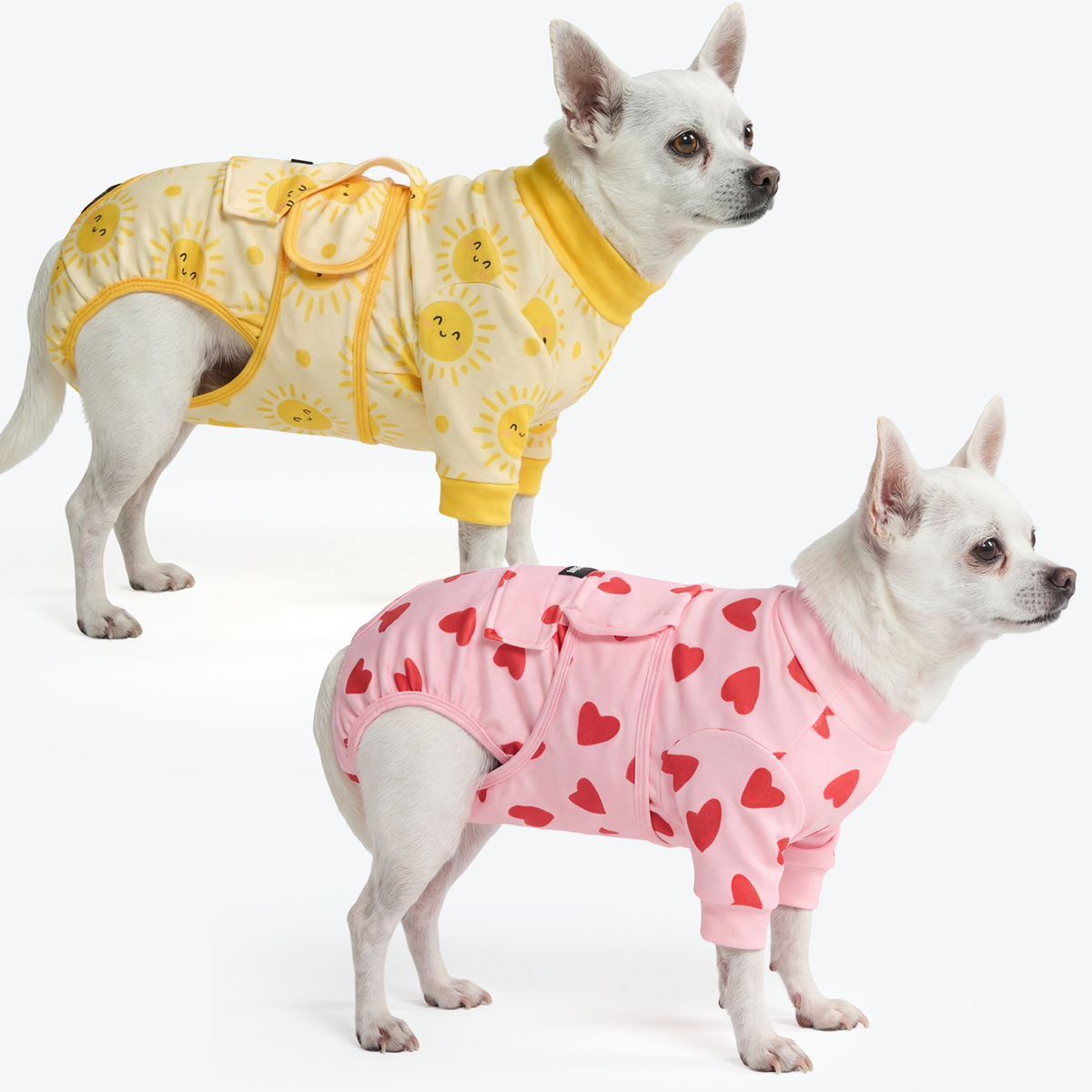 Dog Surgical Suit 2-pack – SPARK PAWS