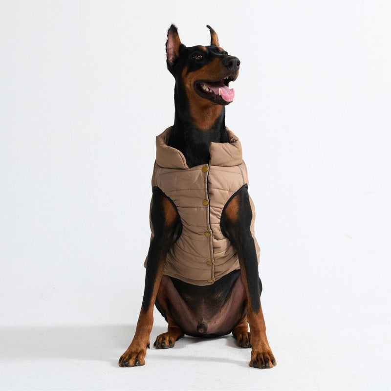 WarmShield Water-Resistant Jacket - Tan
