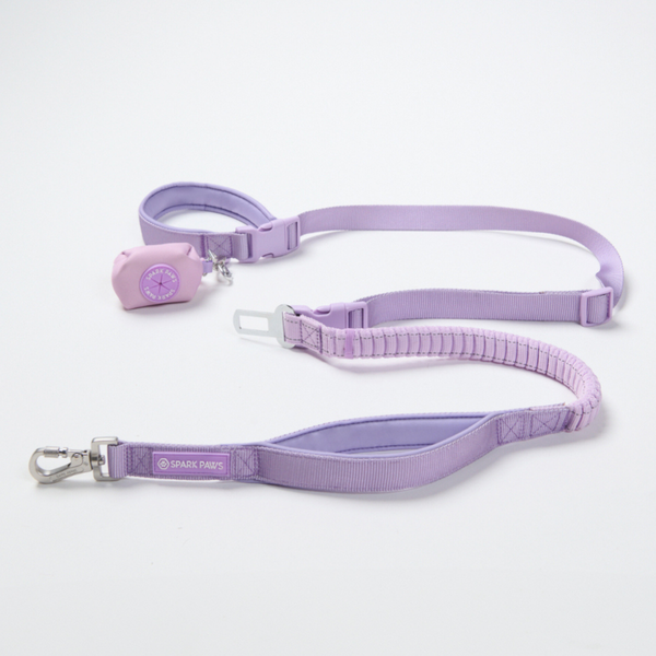 Multipurpose Seatbelt Handsfree Leash & Poop Bag Holder Set - Lilac