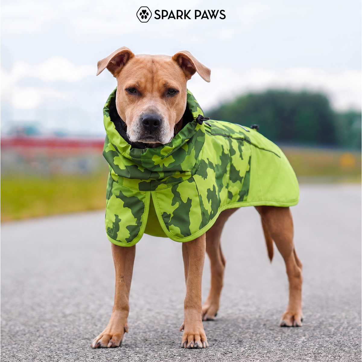 DOG-FIGHIT,ベトジャン　サイズL〜LL Breatheshield™ Dog Raincoat - Camo Lime – SPARK PAWS