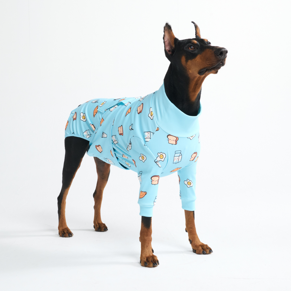 Dog Surgical Suit - Breakfast Blue – SPARK PAWS