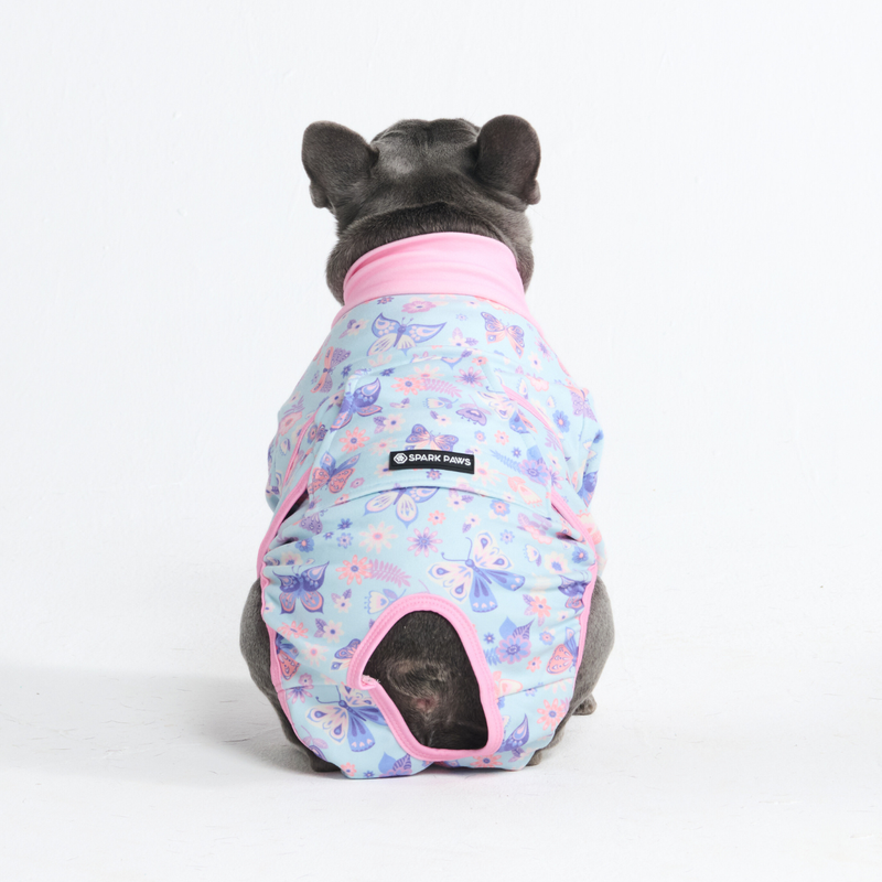 Dog Surgical Suit - Butterfly – SPARK PAWS
