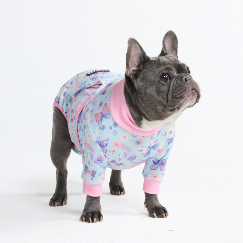 Dog Surgical Suit - Butterfly – SPARK PAWS