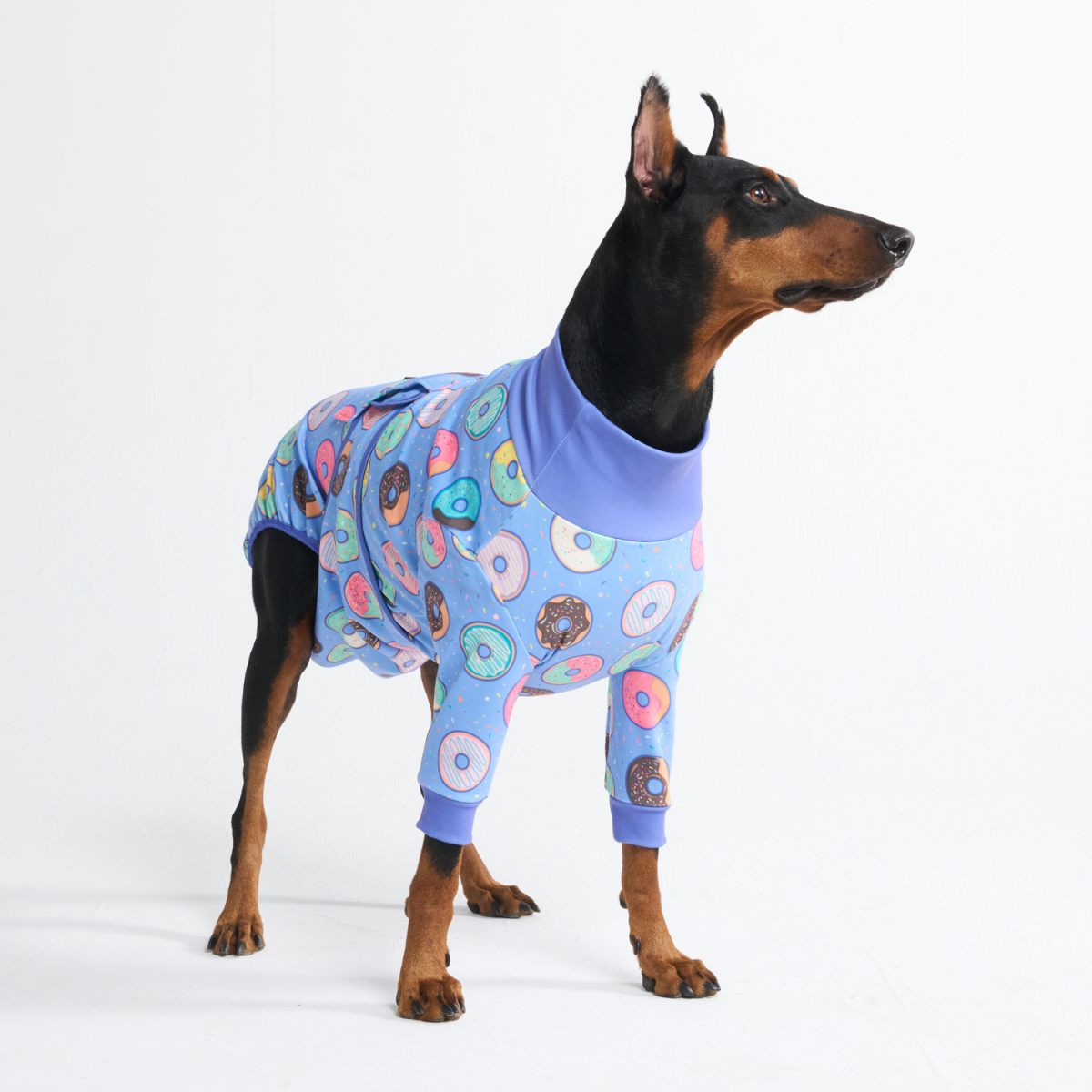 Dog Surgical Suit - Donuts – SPARK PAWS
