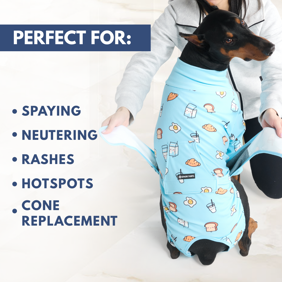 Dog Surgical Suit - Breakfast Blue – SPARK PAWS