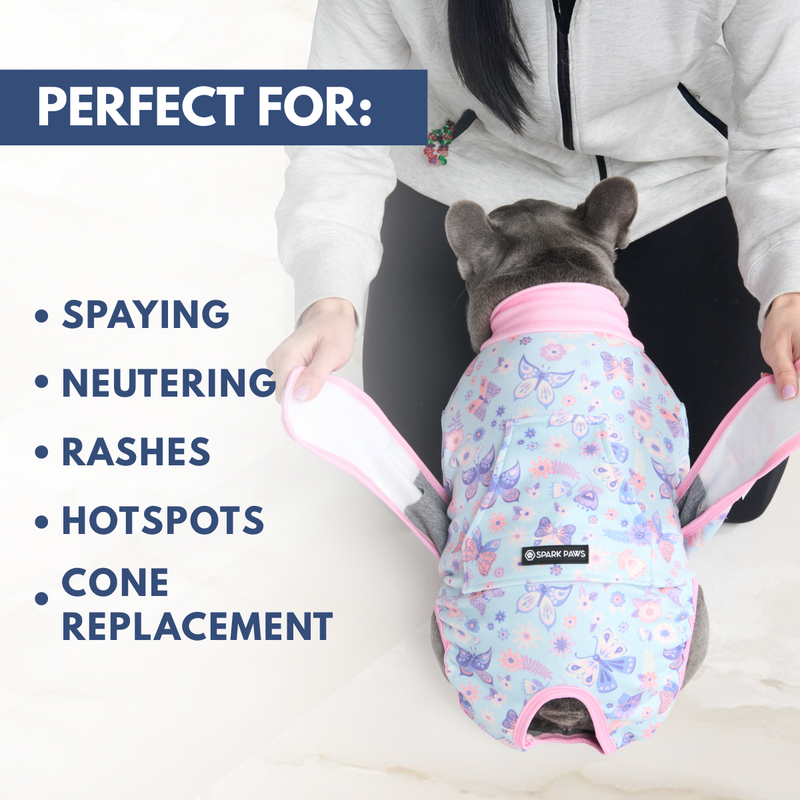 Dog Surgical Suit - Butterfly – SPARK PAWS