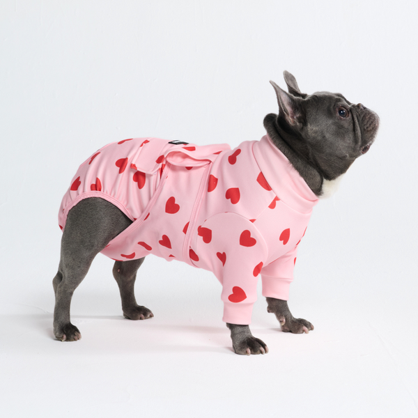 Dog Surgical Suit - Pink Hearts – SPARK PAWS