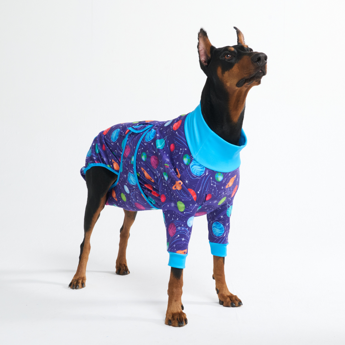 Dog Surgical Suit - Planets – SPARK PAWS