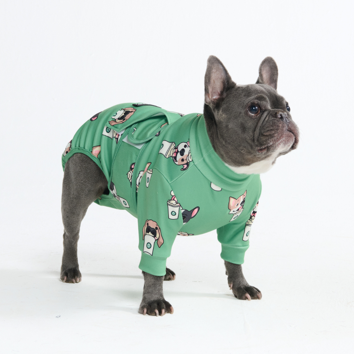 洋楽 Rup Dog Dog Surgical Suit - Pup Cup – SPARK PAWS