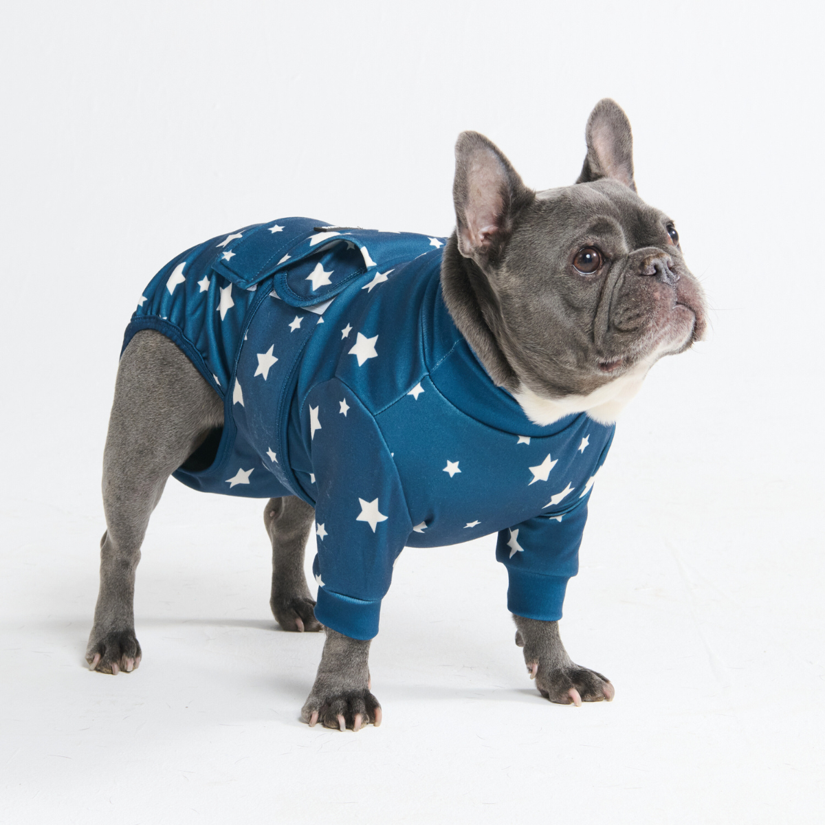 Dog Surgical Suit - Stars – SPARK PAWS